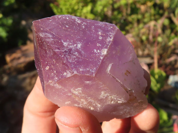 Natural Single Jacaranda Amethyst Crystals x 12 From Zambia