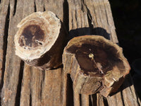 Polished Petrified Wood Branch Pieces  x 6 From Zimbabwe - Toprock Gemstones and Minerals 