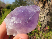 Natural Single Jacaranda Amethyst Crystals x 12 From Zambia