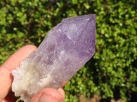 Natural Single Jacaranda Amethyst Crystals x 12 From Zambia