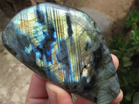 Polished Labradorite Standing Free Forms With Intense Blue Flash x 6 From Tulear, Madagascar - TopRock