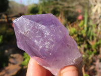 Natural Single Jacaranda Amethyst Crystals x 12 From Zambia