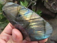 Polished Labradorite Standing Free Forms With Intense Blue Flash x 6 From Tulear, Madagascar - TopRock