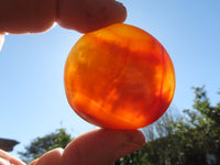 Polished Bright Red/ Orange Small to Medium Sized Carnelian Agate Palm Stones / Gallets - sold per kg - From Madagascar - TopRock