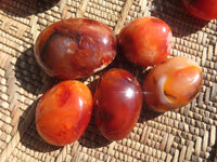 Polished Bright Red/ Orange Small to Medium Sized Carnelian Agate Palm Stones / Gallets - sold per kg - From Madagascar - TopRock