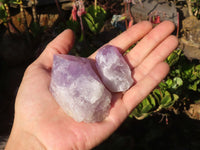 Natural Single Jacaranda Amethyst Crystals x 12 From Zambia