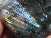 Polished Labradorite Standing Free Forms With Intense Blue Flash x 6 From Tulear, Madagascar - TopRock