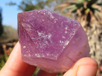 Natural Single Jacaranda Amethyst Crystals x 12 From Zambia