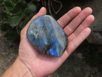 Polished Labradorite Standing Free Forms With Intense Blue Flash x 6 From Tulear, Madagascar - TopRock