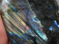 Polished Labradorite Standing Free Forms With Intense Blue Flash x 6 From Tulear, Madagascar - TopRock