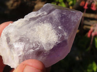 Natural Single Jacaranda Amethyst Crystals x 12 From Zambia