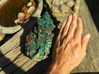 Natural Fibrous Acicular Silky Malachite Specimen  x 1 From Kasompe, Congo - Toprock Gemstones and Minerals 