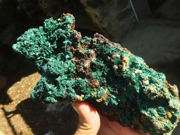 Natural Fibrous Acicular Silky Malachite Specimen  x 1 From Kasompe, Congo - Toprock Gemstones and Minerals 