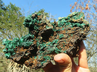 Natural Fibrous Acicular Silky Malachite Specimen  x 1 From Kasompe, Congo - Toprock Gemstones and Minerals 