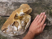 Natural Large Golden Limonite Quartz Cluster With Specular Hematite   x 1 From Solwezi, Zambia - TopRock