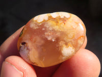 Polished  Small Ocean  Flower Agate Palm Stones  x 35 From Madagascar