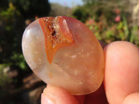 Polished  Small Ocean  Flower Agate Palm Stones  x 35 From Madagascar