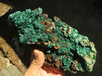 Natural Fibrous Acicular Silky Malachite Specimen  x 1 From Kasompe, Congo - Toprock Gemstones and Minerals 