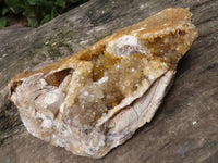 Natural Large Golden Limonite Quartz Cluster With Specular Hematite   x 1 From Solwezi, Zambia - TopRock