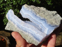 Natural Blue Lace Agate Geode Specimens  x 6 From Malawi - Toprock Gemstones and Minerals 