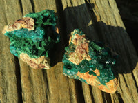 Natural Classic Emerald Dioptase Crystal Specimens x 2 From Likasi, Congo