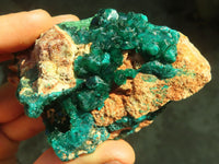 Natural Classic Emerald Dioptase Crystal Specimens x 2 From Likasi, Congo