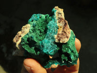 Natural Classic Emerald Dioptase Crystal Specimens x 2 From Likasi, Congo