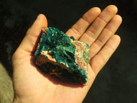 Natural Classic Emerald Dioptase Crystal Specimens x 2 From Likasi, Congo