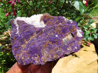 Natural  Manganese Phosphate With Heterosite/Metallic Purple In Black-Brown Ferro Manganese Matrix Purpurite Specimens x 6 From Namibia - TopRock