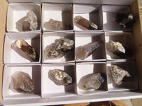 Natural Clear Smokey Quartz Crystals  x 12 From Malawi