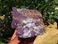 Natural  Manganese Phosphate With Heterosite/Metallic Purple In Black-Brown Ferro Manganese Matrix Purpurite Specimens x 6 From Namibia - TopRock