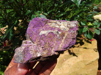 Natural  Manganese Phosphate With Heterosite/Metallic Purple In Black-Brown Ferro Manganese Matrix Purpurite Specimens x 6 From Namibia - TopRock