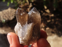 Natural Clear Smokey Quartz Crystals  x 12 From Malawi