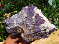 Natural  Manganese Phosphate With Heterosite/Metallic Purple In Black-Brown Ferro Manganese Matrix Purpurite Specimens x 6 From Namibia - TopRock