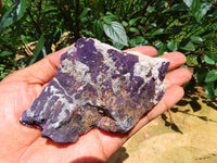 Natural  Manganese Phosphate With Heterosite/Metallic Purple In Black-Brown Ferro Manganese Matrix Purpurite Specimens x 6 From Namibia - TopRock