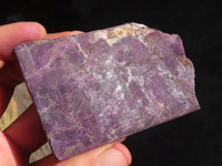 Polished Metallic Purpurite Slices With Matte Finish  x 6 From Erongo, Namibia - Toprock Gemstones and Minerals 