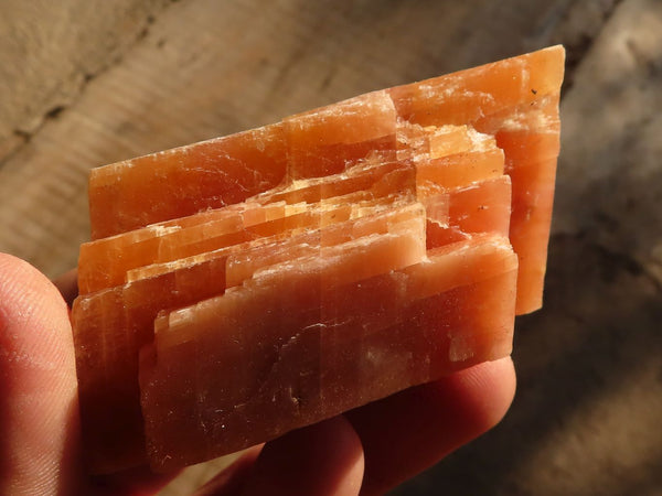 Natural New Sunset Orange Calcite Specimens x 12 From Spitzkop, Namibia