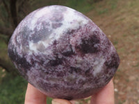 Polished Dark Purple Lepidolite Free Forms  x 5 From Zimbabwe - TopRock