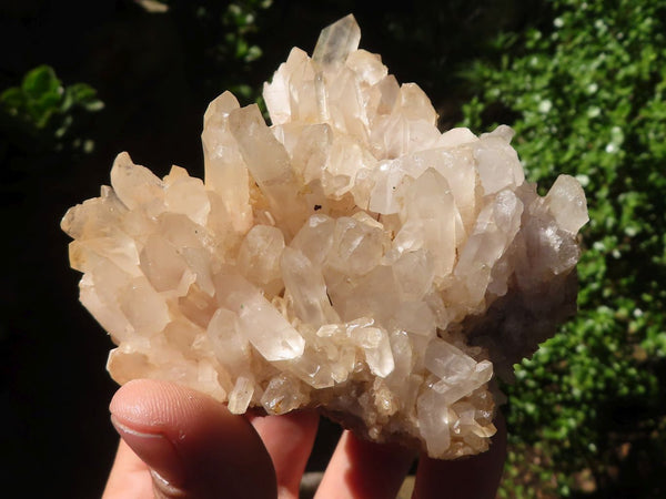 Natural Stone Sealed Quartz Clusters  x 5 From Madagascar - Toprock Gemstones and Minerals 