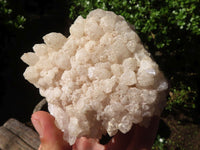 Natural Stone Sealed Quartz Clusters  x 5 From Madagascar - Toprock Gemstones and Minerals 