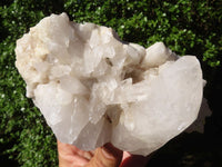 Natural Stone Sealed Quartz Clusters  x 5 From Madagascar - Toprock Gemstones and Minerals 