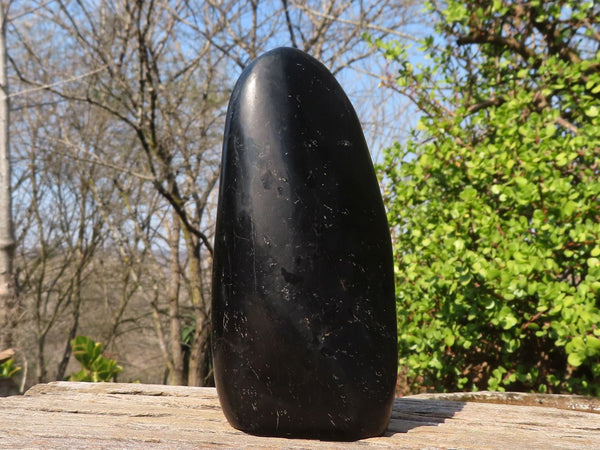 Polished Black Tourmaline Standing Free Form  x 1 From Madagascar