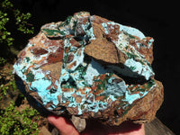 Natural Drusy Coated Chrysocolla & Malachite Dolomite Specimen  x 1 From Likasi, Congo - Toprock Gemstones and Minerals 