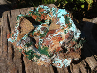 Natural Drusy Coated Chrysocolla & Malachite Dolomite Specimen  x 1 From Likasi, Congo - Toprock Gemstones and Minerals 