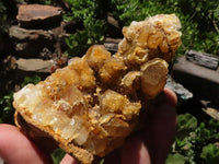 Natural Golden Limonite Quartz Clusters  x 12 From Zimbabwe - TopRock