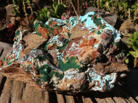 Natural Drusy Coated Chrysocolla & Malachite Dolomite Specimen  x 1 From Likasi, Congo - Toprock Gemstones and Minerals 