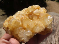 Natural Golden Limonite Quartz Clusters  x 12 From Zimbabwe - TopRock