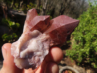 Natural Red Hematoid Quartz Specimens x 24 From Karoi, Zimbabwe