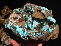 Natural Drusy Coated Chrysocolla & Malachite Dolomite Specimen  x 1 From Likasi, Congo - Toprock Gemstones and Minerals 