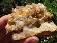 Natural Golden Limonite Quartz Clusters  x 12 From Zimbabwe - TopRock